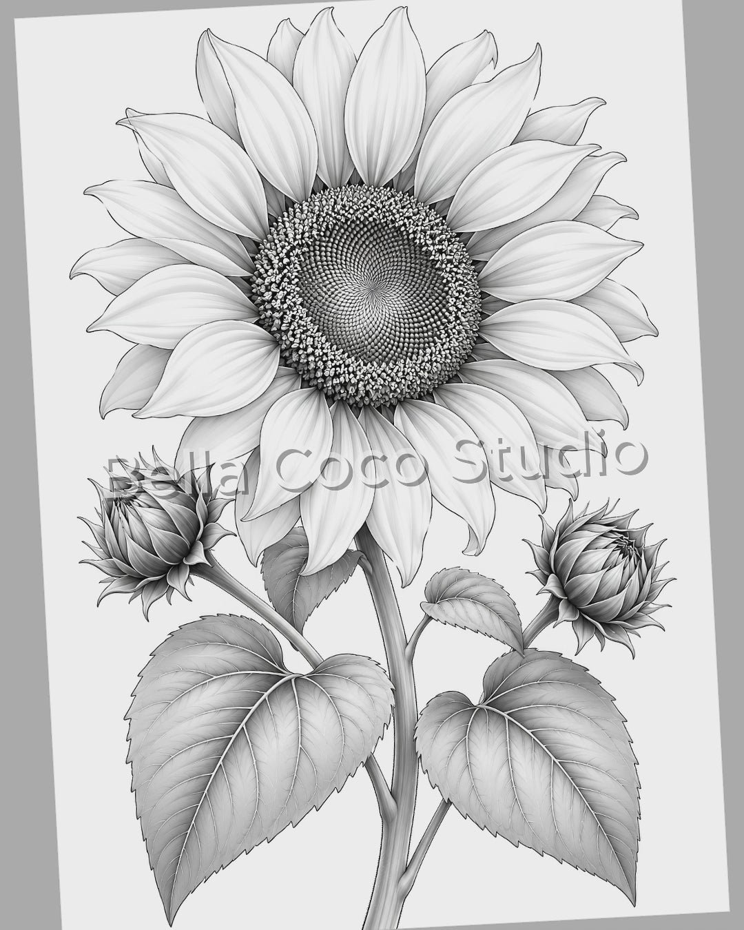 Summer Flowers Coloring Book | Printable PDF