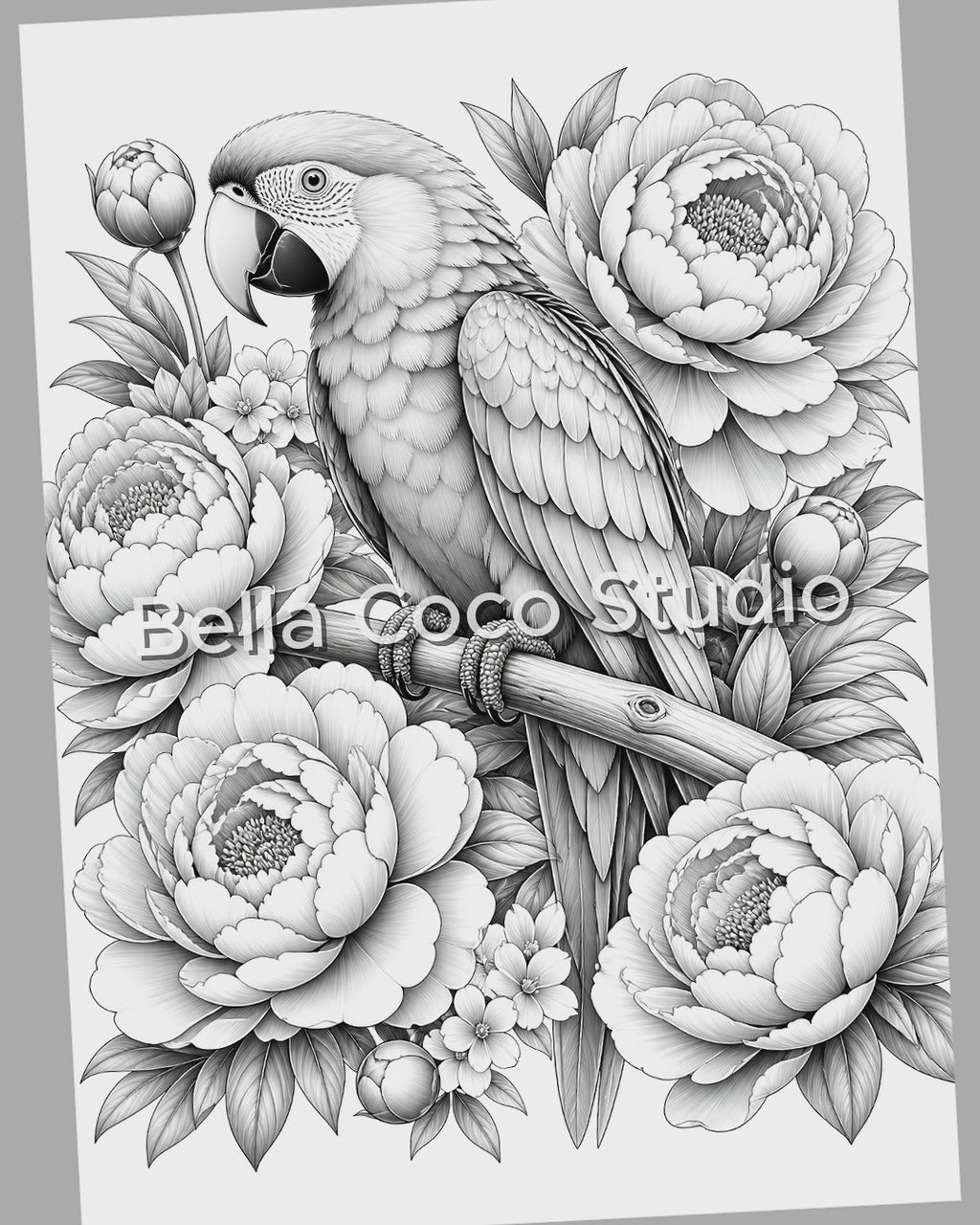 Blooming Birds Coloring Book