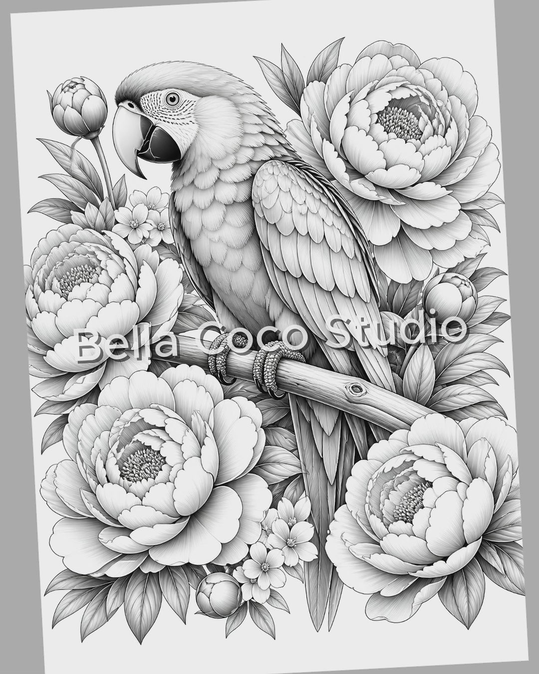 Blooming Birds Coloring Book